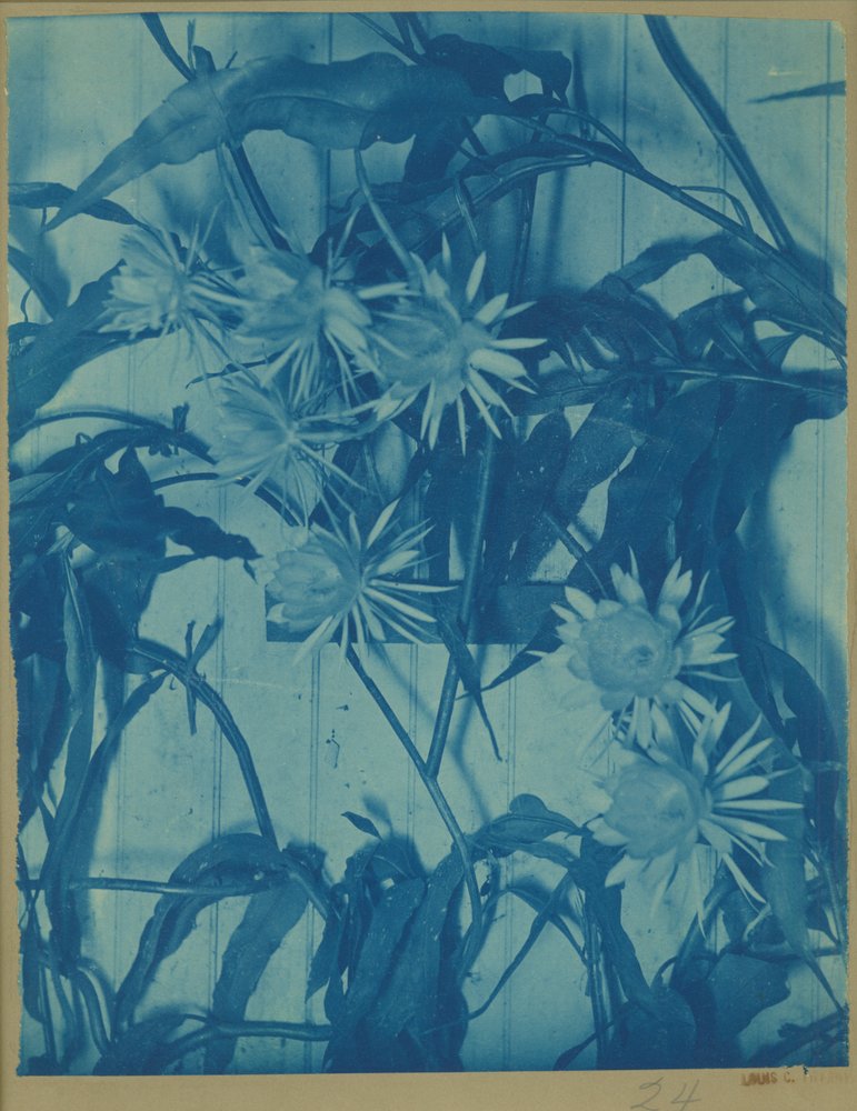 Louis Comfort Tiffany - Floral